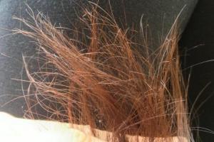 Маска для секущихся кончиков волос